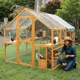 Outdoor Cat House Cat Enclosures 110 Large Kitten Playpen With Platforms,Upgrad