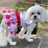 Strawberry Picnic Dog Dress with Matching Leash