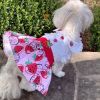 Strawberry Picnic Dog Dress with Matching Leash