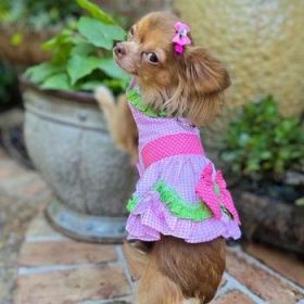 Watermelon Dog Harness Dress by Doggie Design (Option: X-Small)